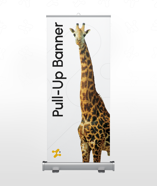 Pull-Up Banner